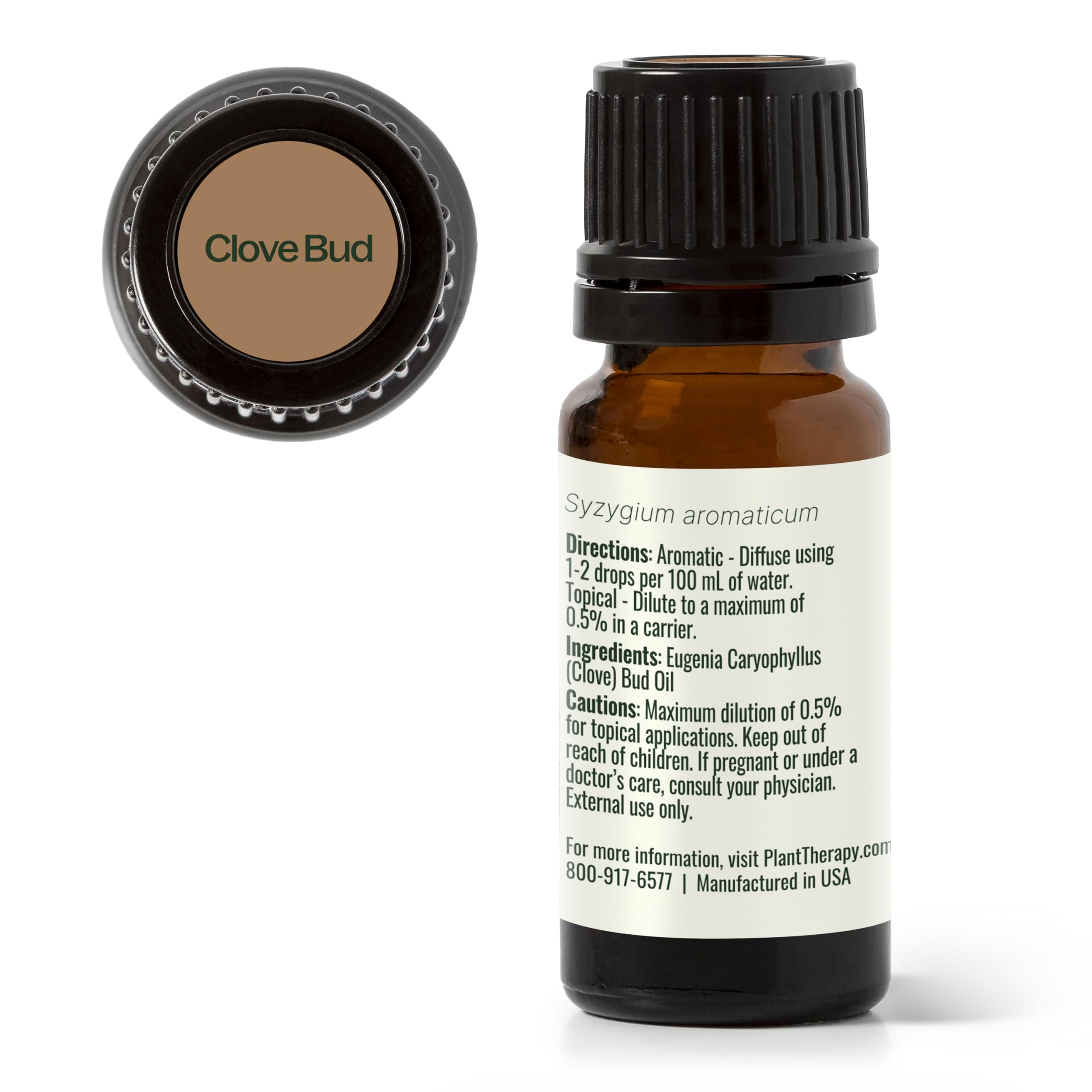 Cozy winter scene featuring Plant Therapy Clove Bud Essential Oil