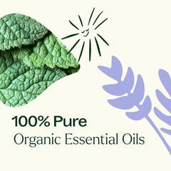 Diffuser scene showing lemon, lavender, and peppermint blend