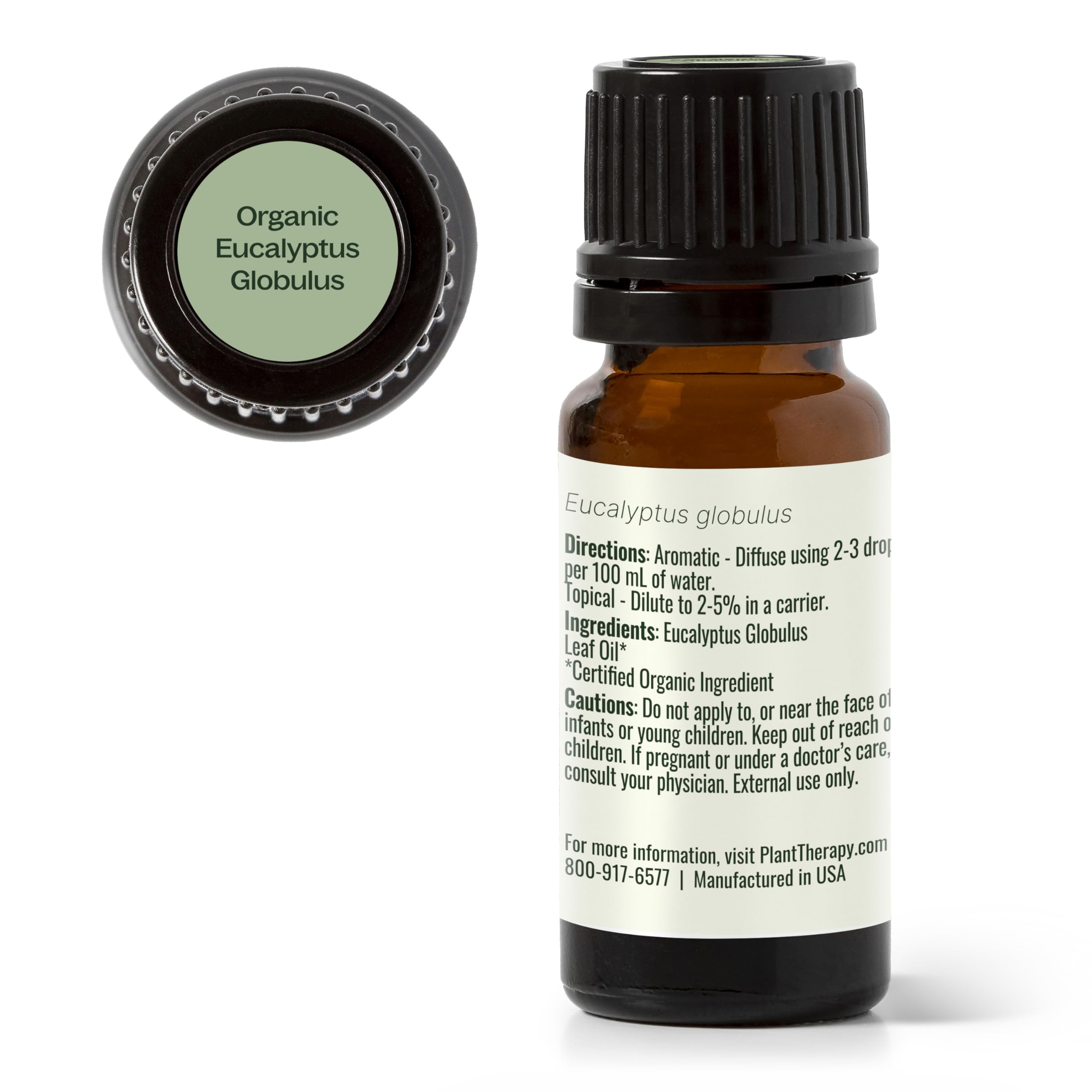 Diffuser scene using eucalyptus globulus essential oil