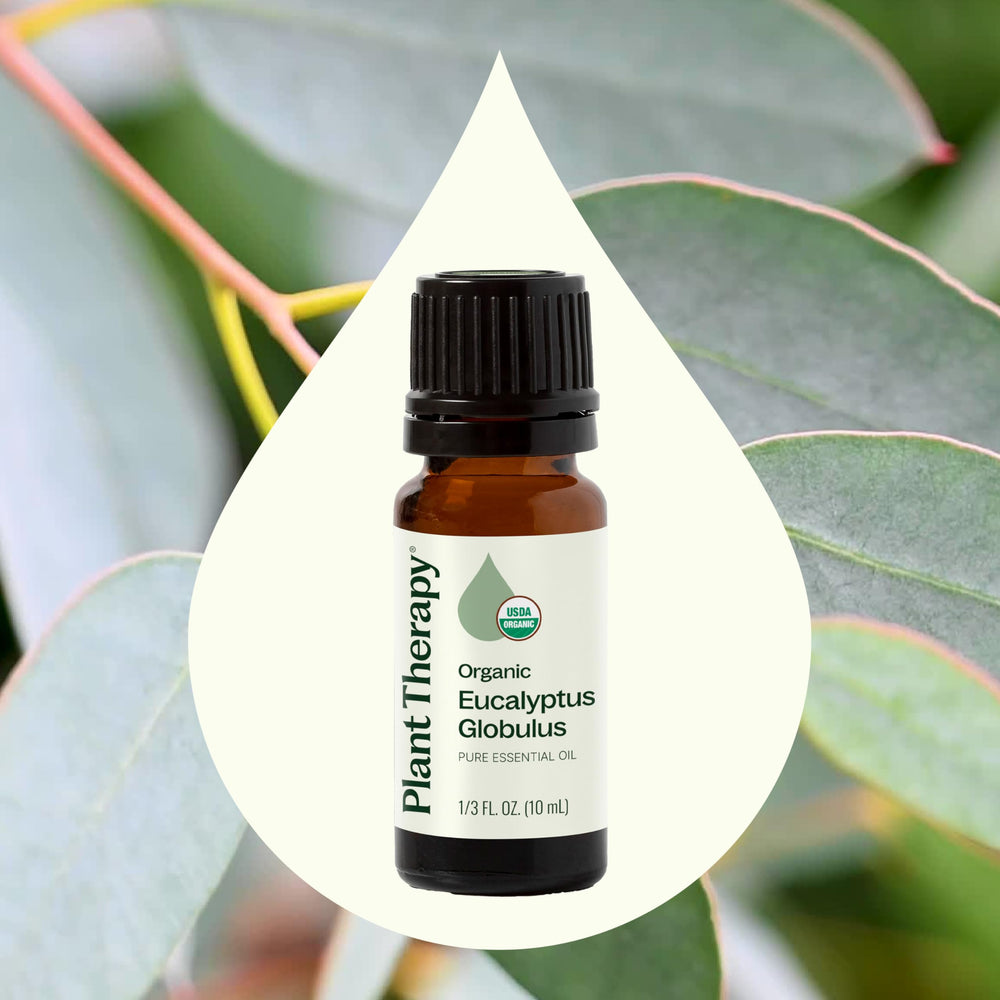 Dropper bottle of Eucalyptus Globulus essential oil