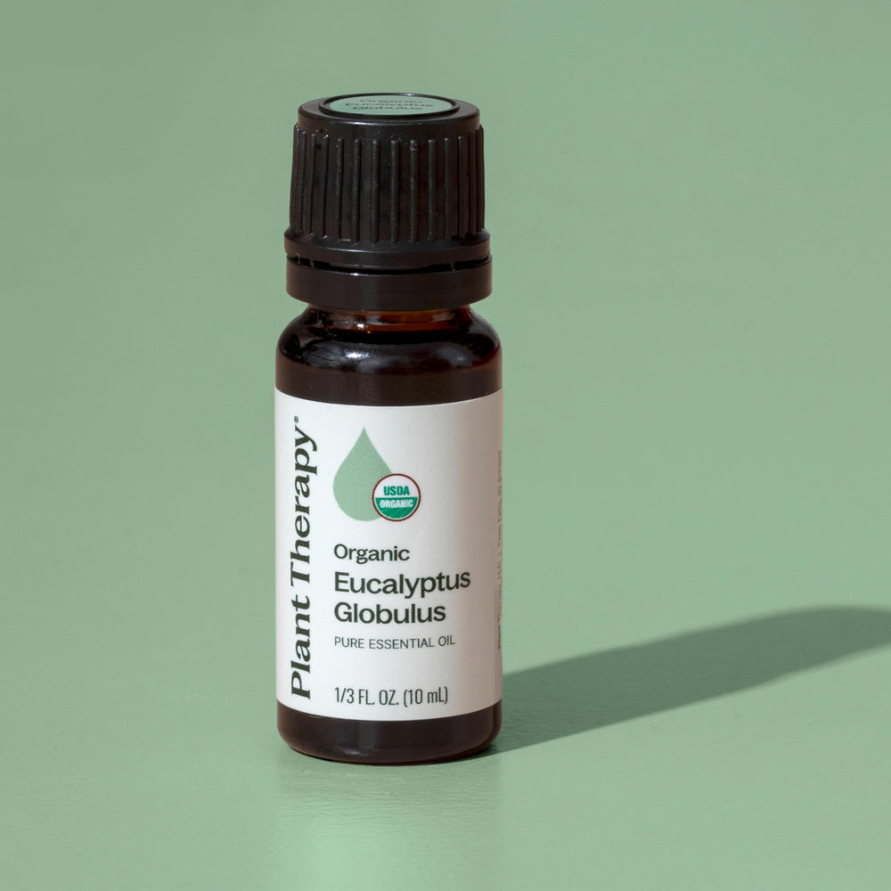 Batch GC-MS report documents for Plant Therapy eucalyptus oil