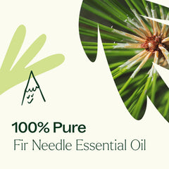 Plant Therapy Fir Needle packaging emphasizes per-pack value and quality.