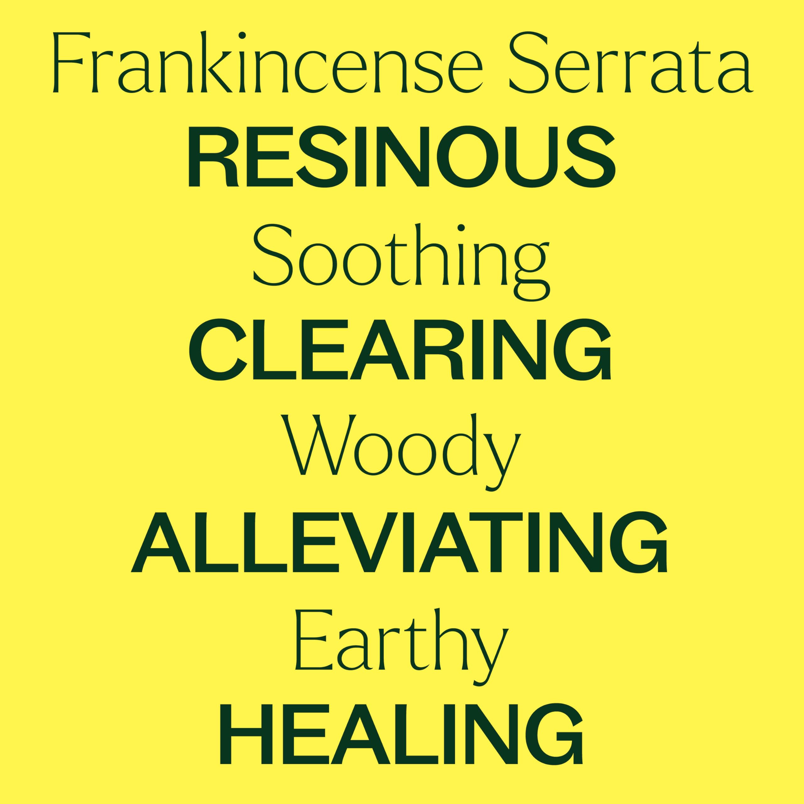 GC-MS batch report for Plant Therapy Frankincense Serrata