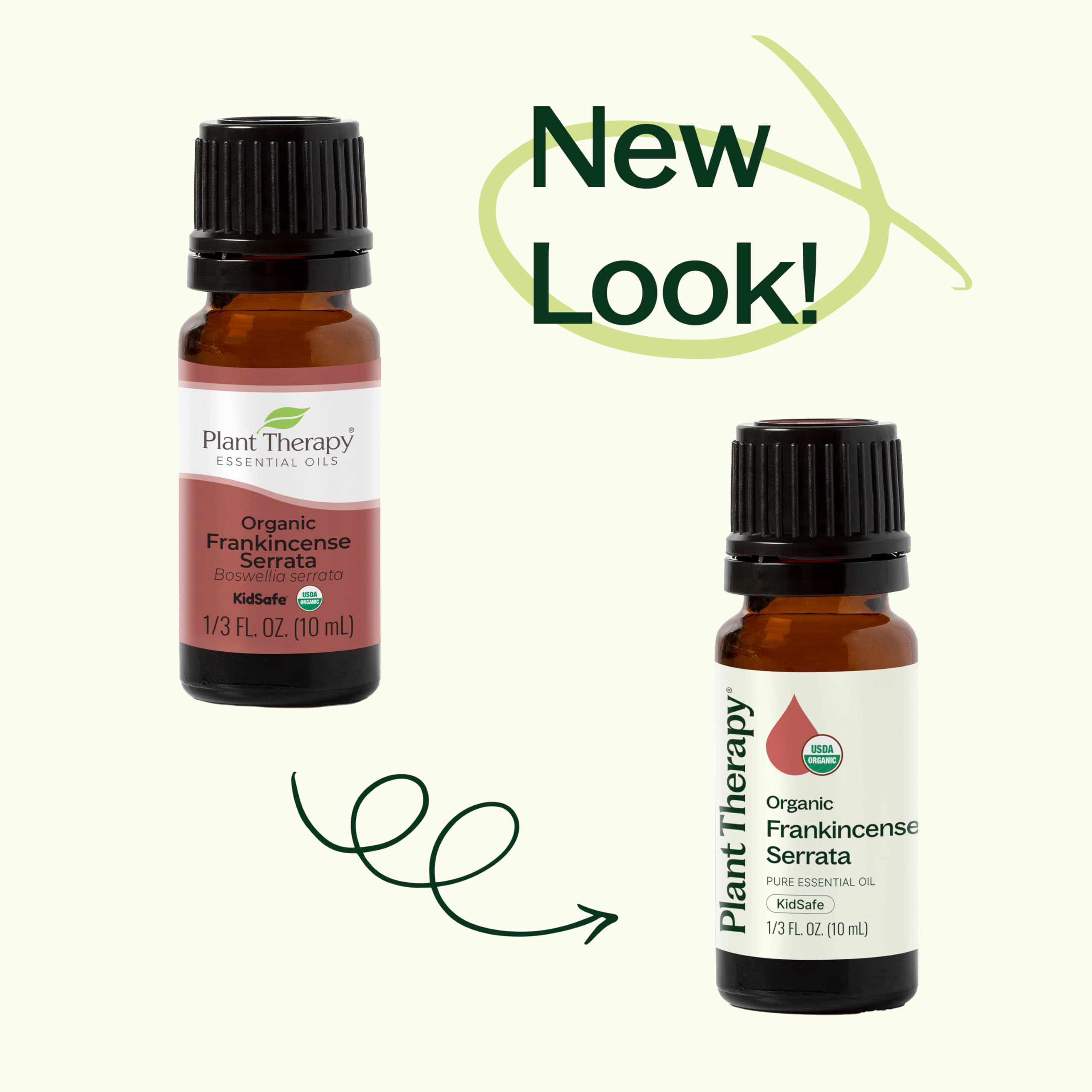 Diffuser releasing the Frankincense Serrata aroma