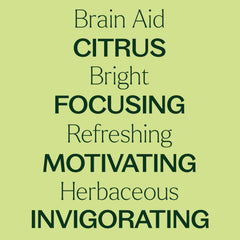 GC-MS quality certificate for Brain Aid essential oil