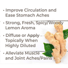 Plant Therapy Ginger Root CO2 oil pour showing warm color for carrier oil blends
