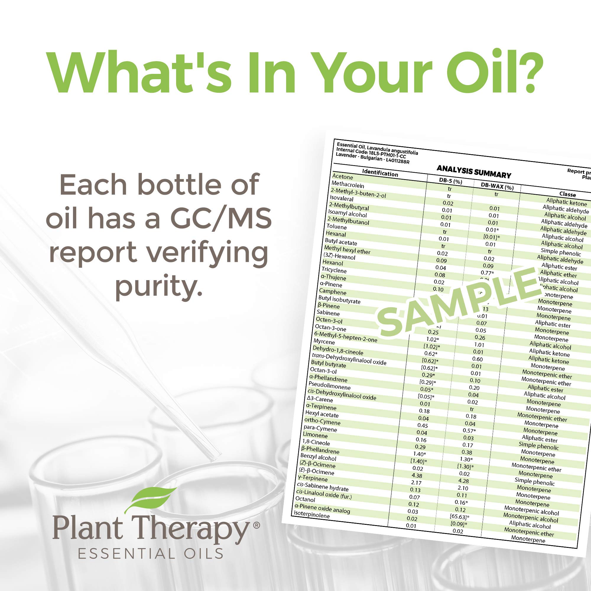 Plant Therapy Ginger Root CO2 diffuser-scene capturing aromatic spice ambiance