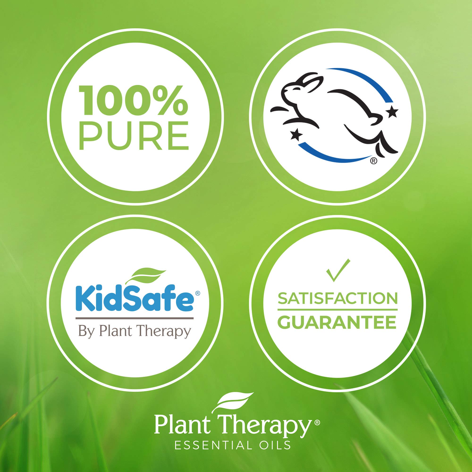 Plant Therapy Ginger Root CO2 oil label highlighting CO2 extraction and purity
