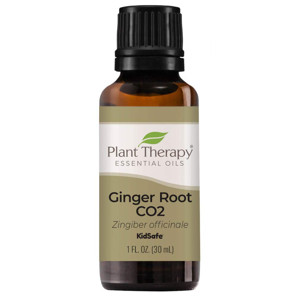 Plant Therapy Ginger Root CO2 oil bottle in hand for gentle digestion-friendly massage