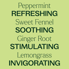 Plant Therapy Gut Aid dilution in carrier oil for abdominal massage.