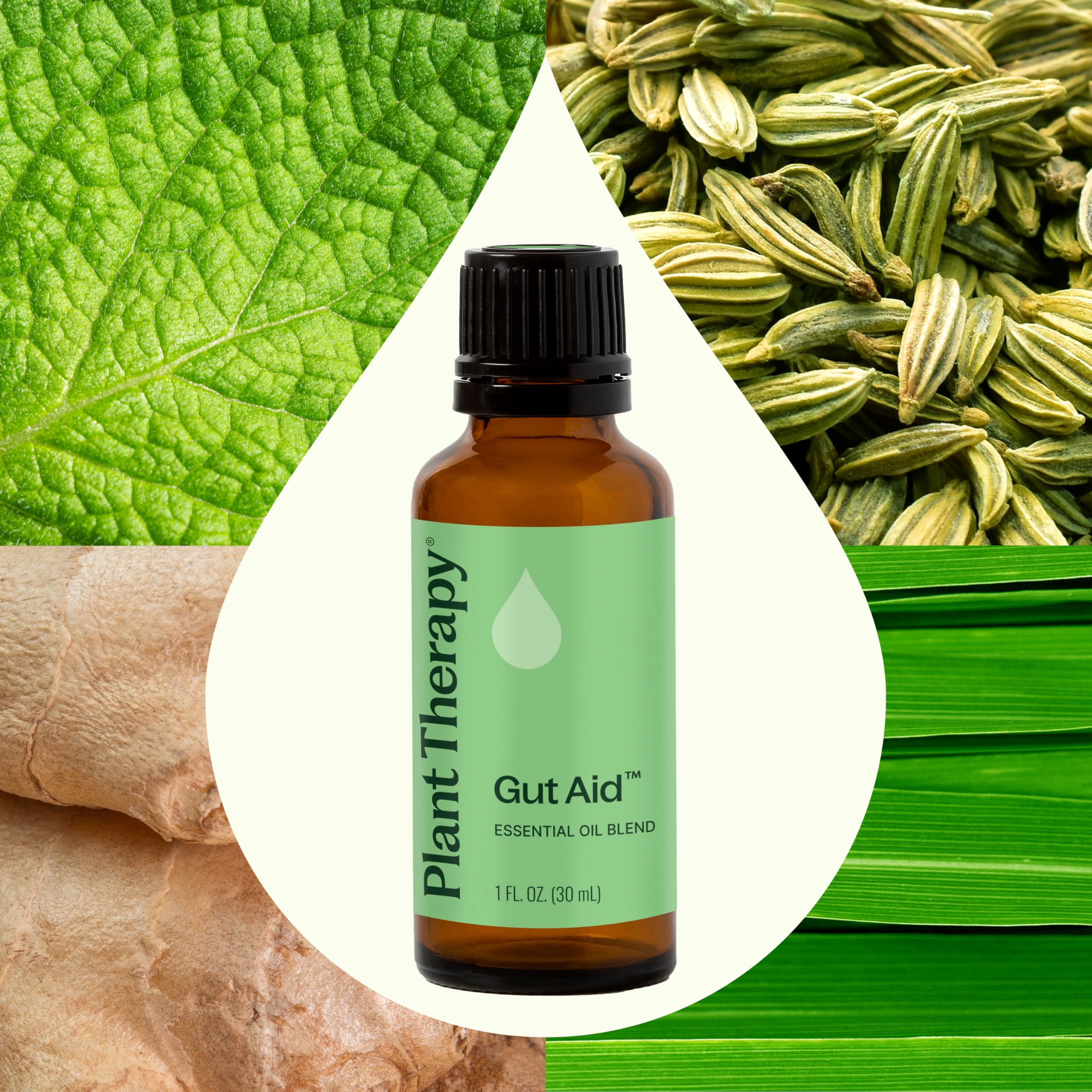 Plant Therapy Gut Aid drops pour showing convenient on-hand dosing for upset stomachs.