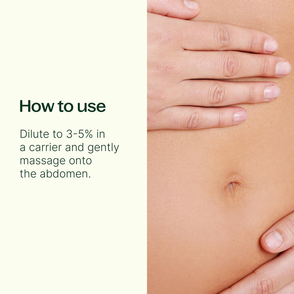 Plant Therapy Gut Aid label close-up with peppermint and fennel notes for tummy comfort.