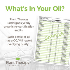 Applying Destroyer blend topically using a carrier oil