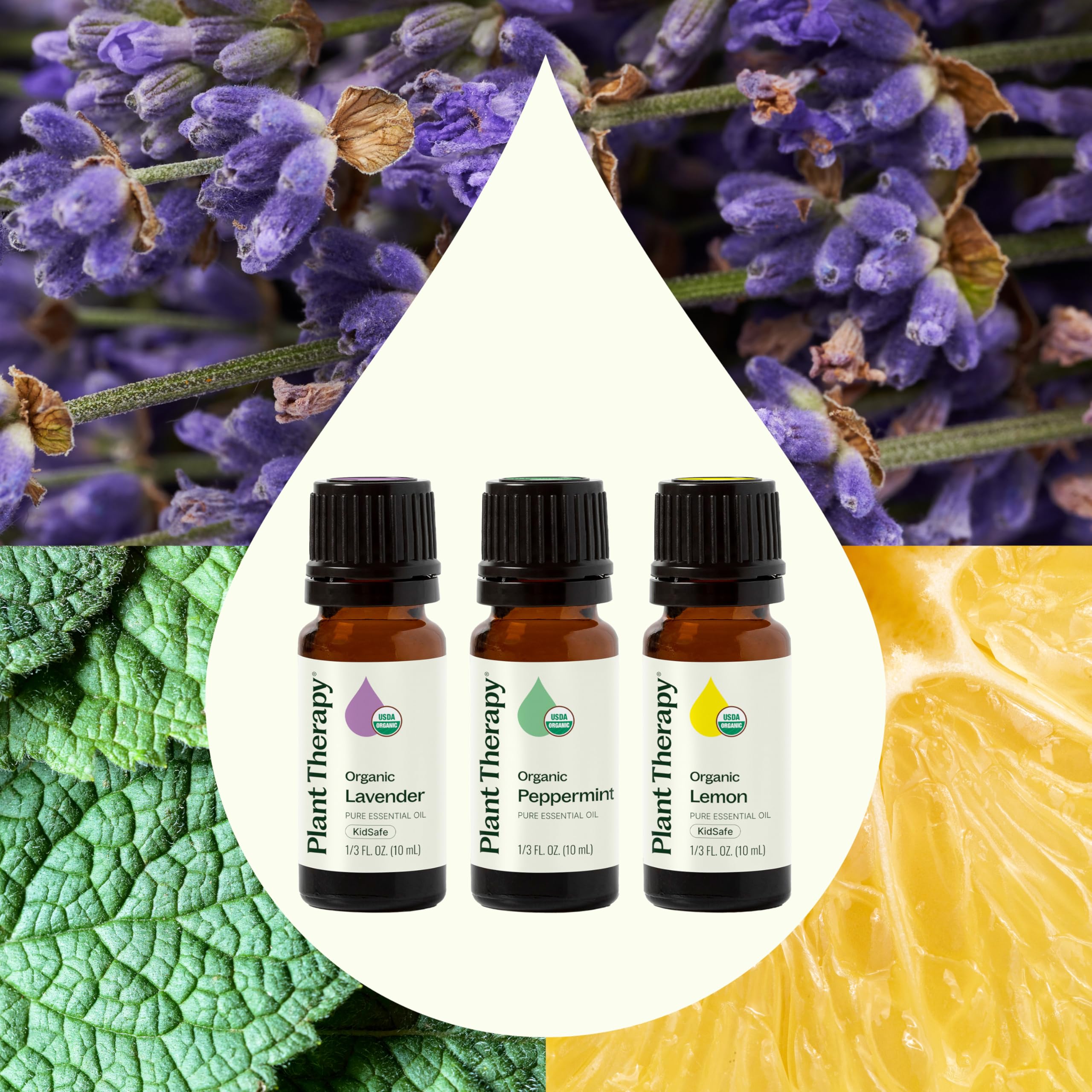 Lavender essential oil 10 mL bottle from Plant Therapy
