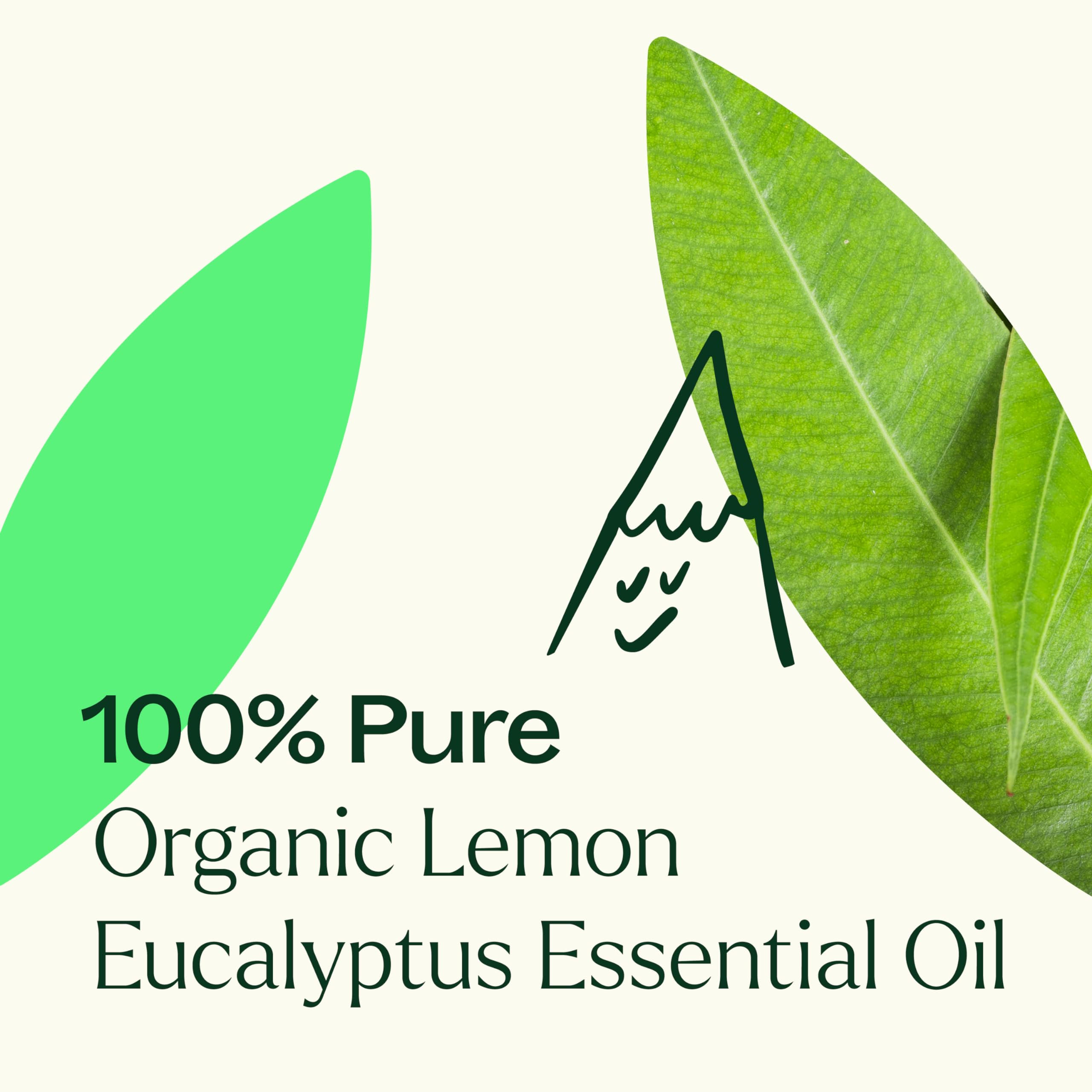 Lemon Eucalyptus oil diffusing for aromatherapy