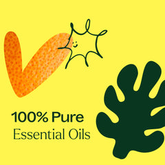 Plant Therapy Lime in the Coconut diffuser scene—refreshing aroma in minutes.