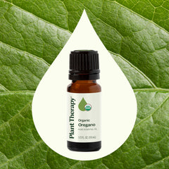 GC-MS laboratory test report for oregano essential oil