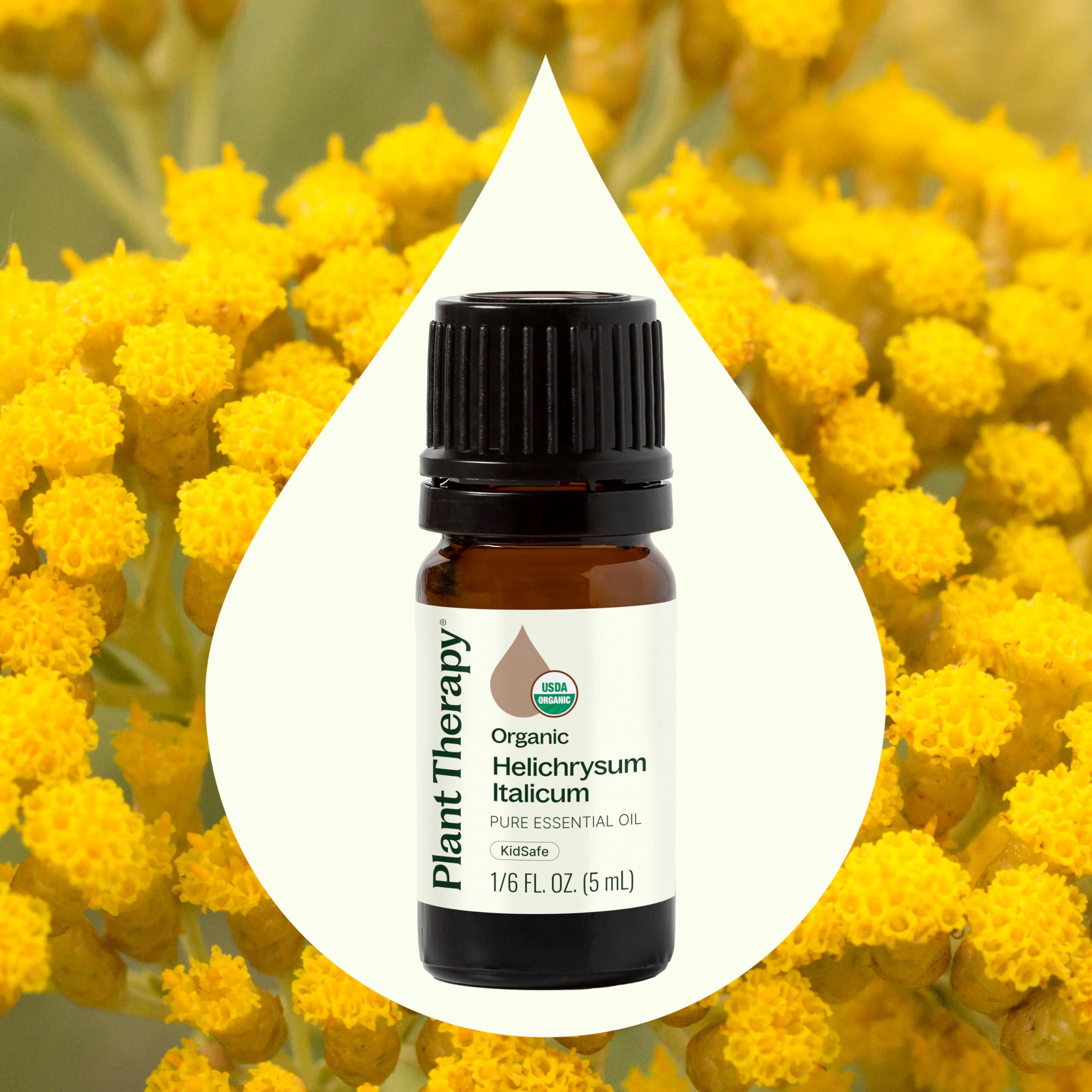 USDA Organic certification label for Helichrysum Italicum oil