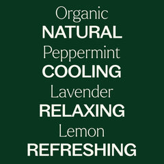 Peppermint essential oil 10 mL bottle from Plant Therapy