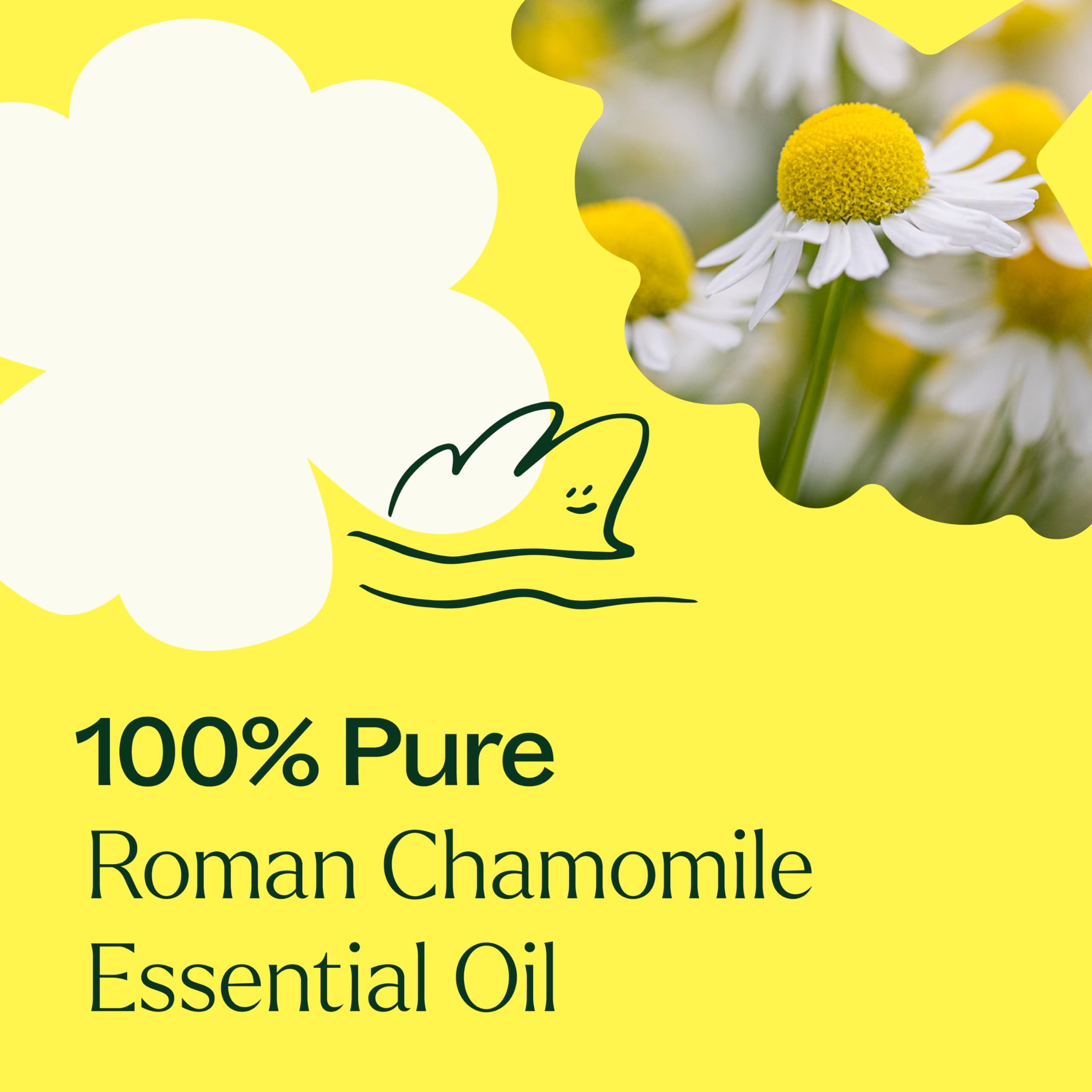 GC-MS certificate for Plant Therapy Roman Chamomile oil
