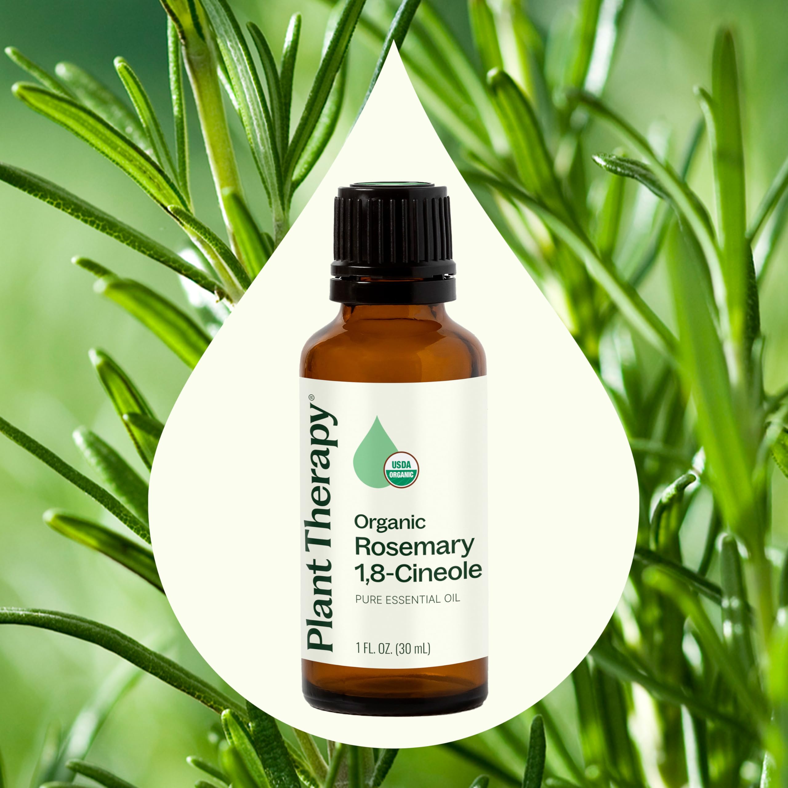 Steam-distilled rosemary essential oil droplets on glass