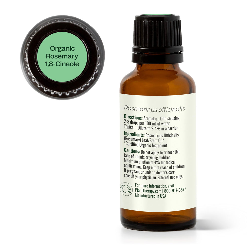Rosemary essential oil and diffuser for home aromatherapy