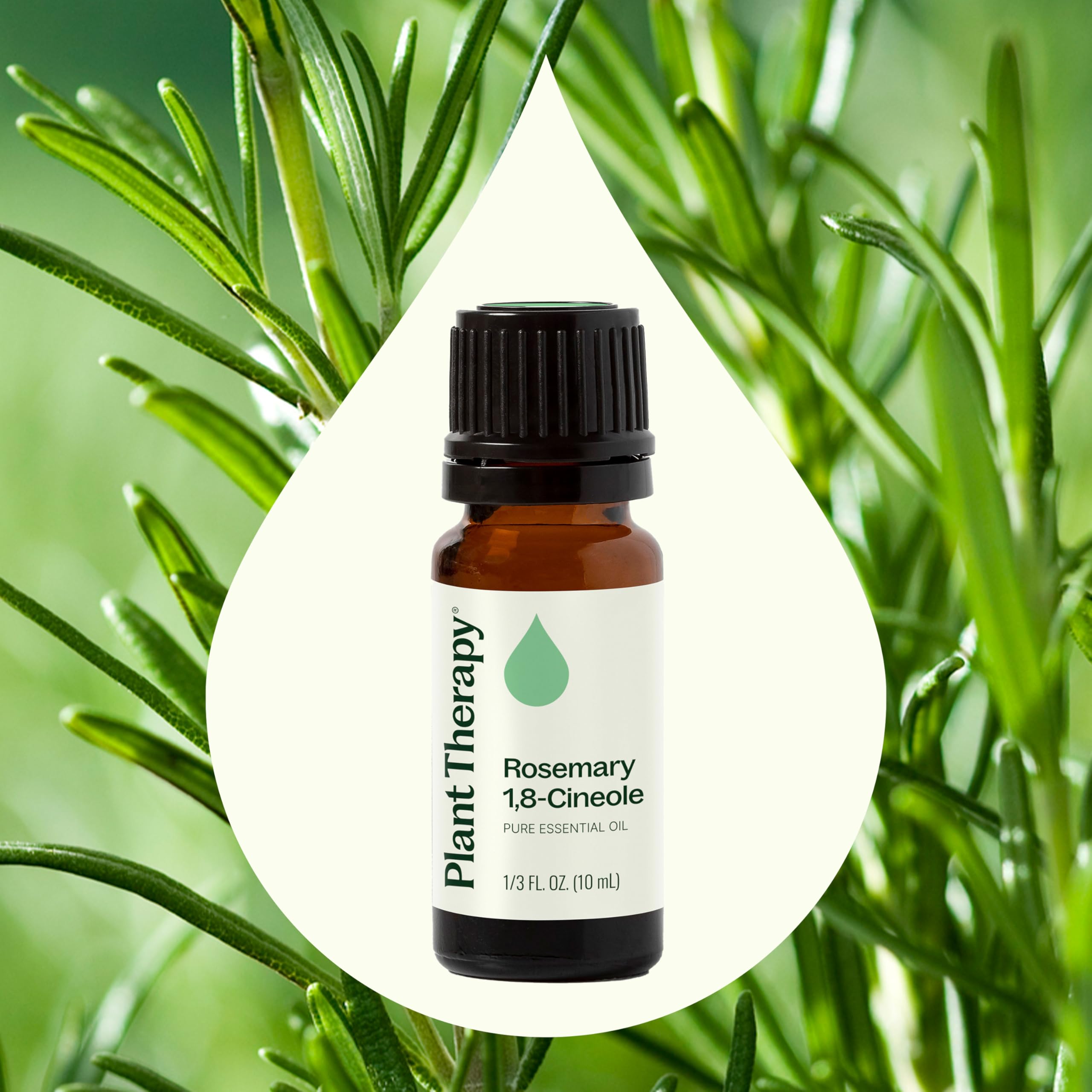 Dropper dispensing rosemary oil from bottle