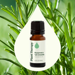Dropper dispensing rosemary oil from bottle