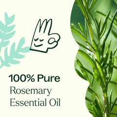 Hair care concept featuring rosemary oil