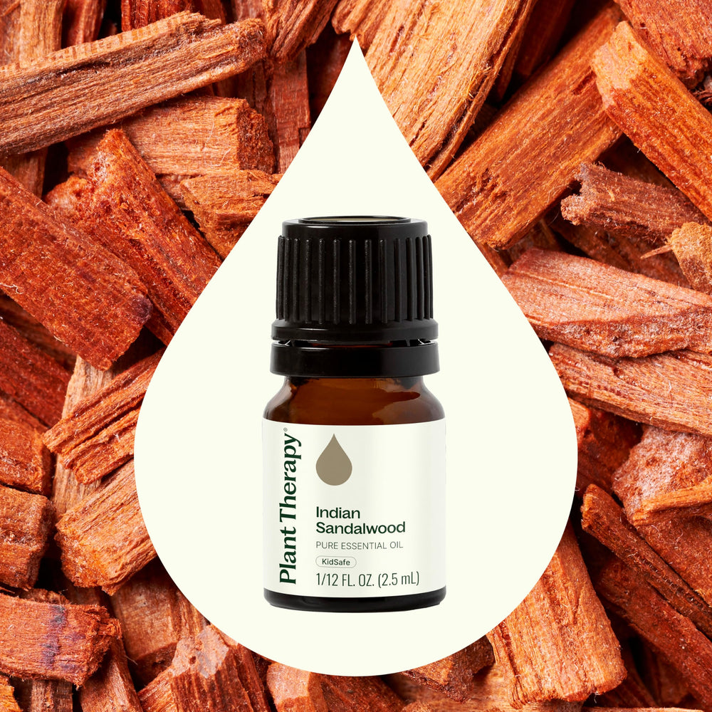 Plant Therapy Sandalwood Indian Oil bottle with dropper for precise diffusion.
