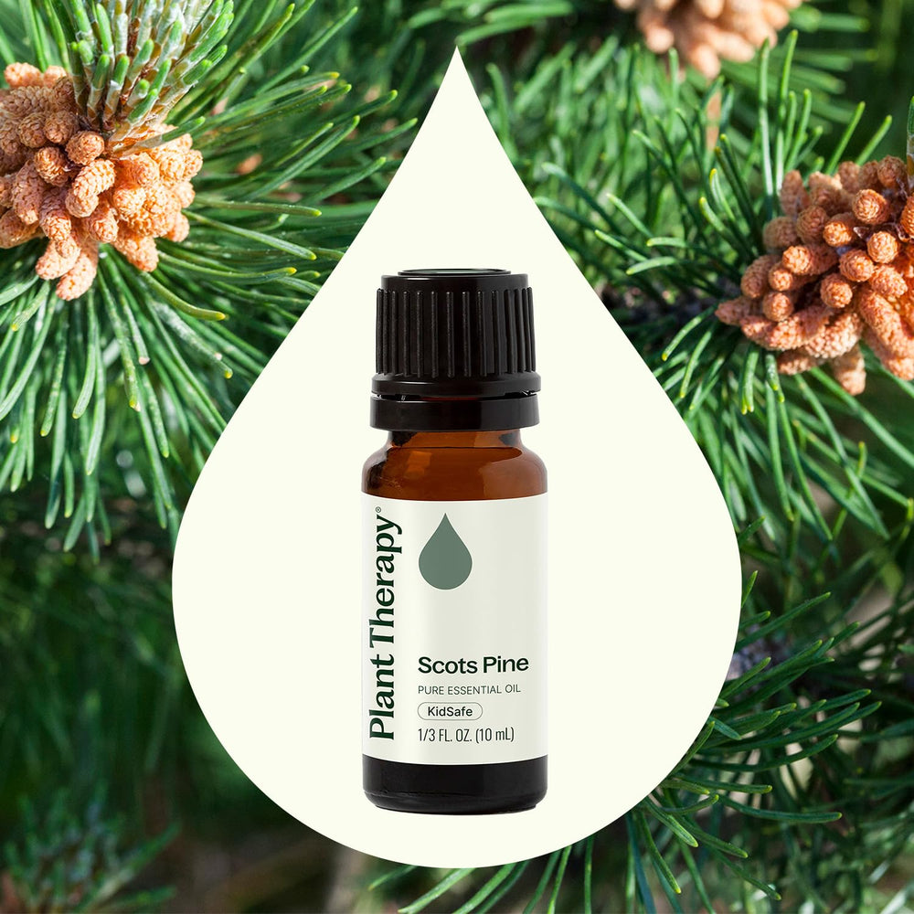 Close-up label on Scots Pine essential oil bottle