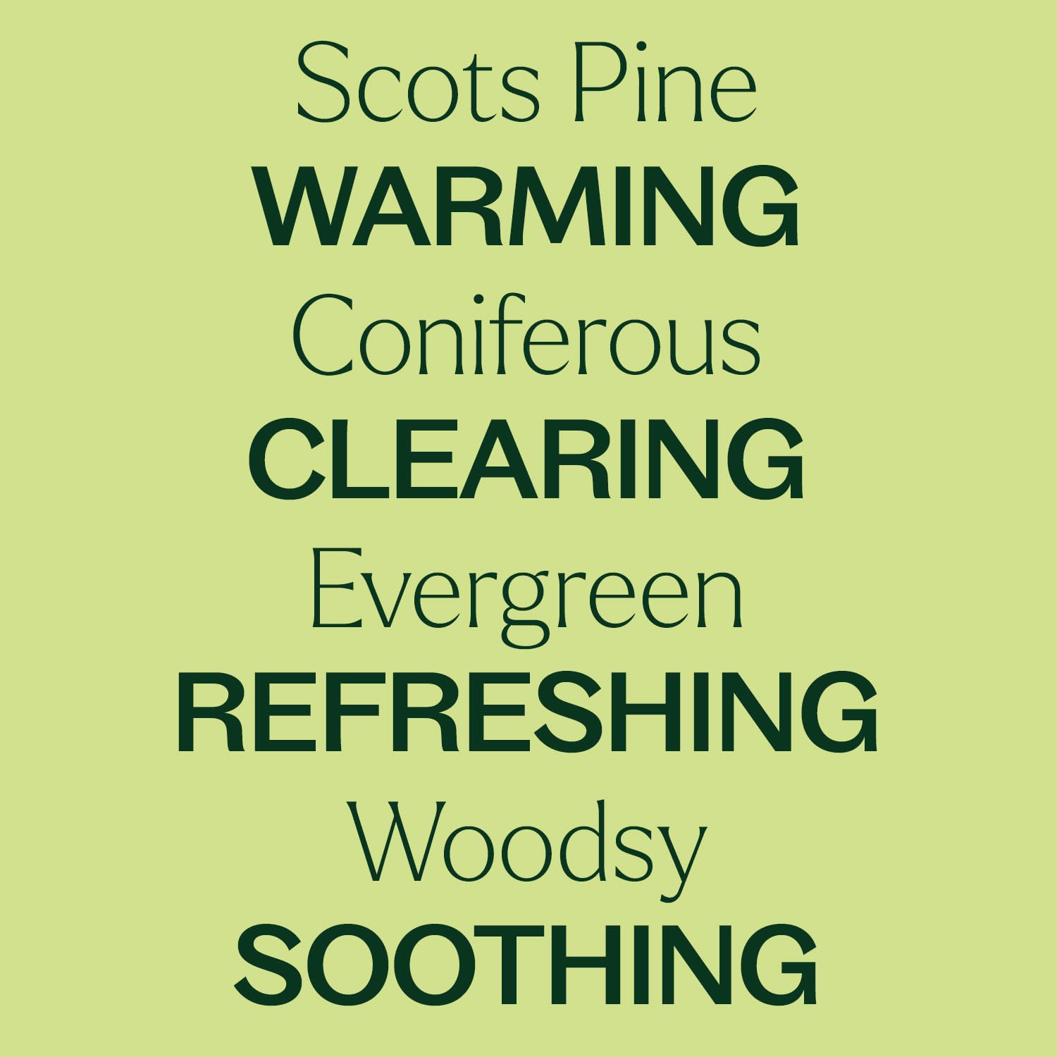 Scots Pine essential oil diffusing in a room