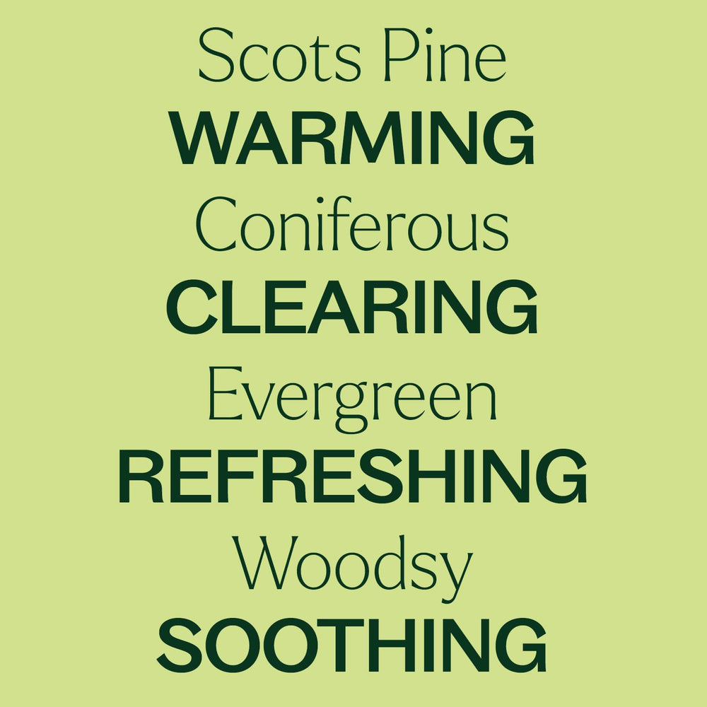 Scots Pine essential oil diffusing in a room