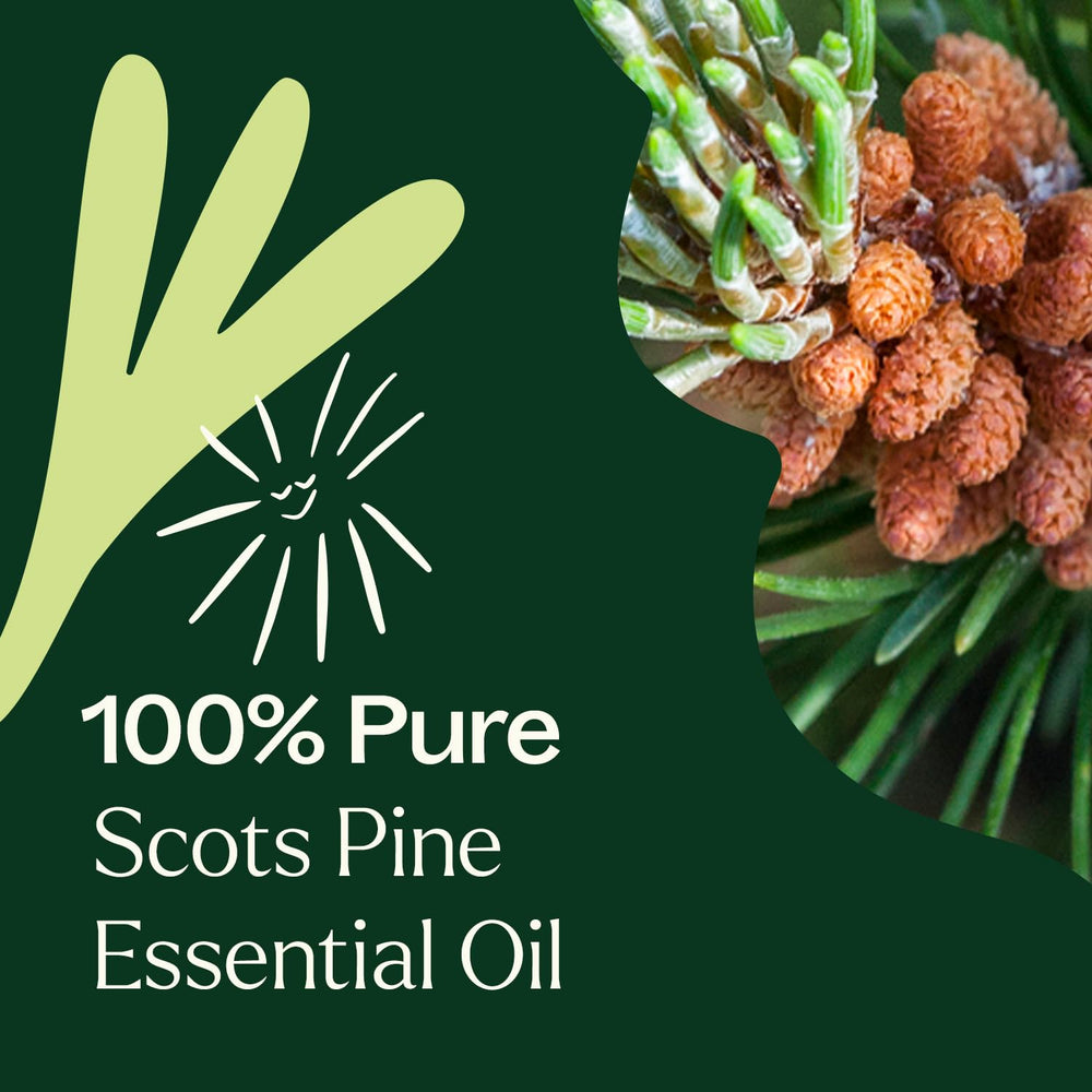 Pine needles beside Scots Pine essential oil bottle