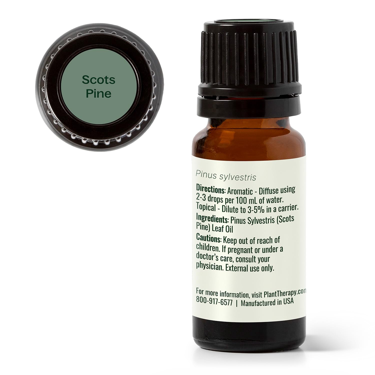 Plant Therapy Scots Pine essential oil on display with packaging