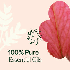 Plant Therapy Soft Skin Lemon oil highlight for refreshing citrus note.