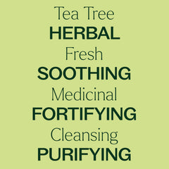 Roll-on applicator tip for Plant Therapy Tea Tree Essential Oil