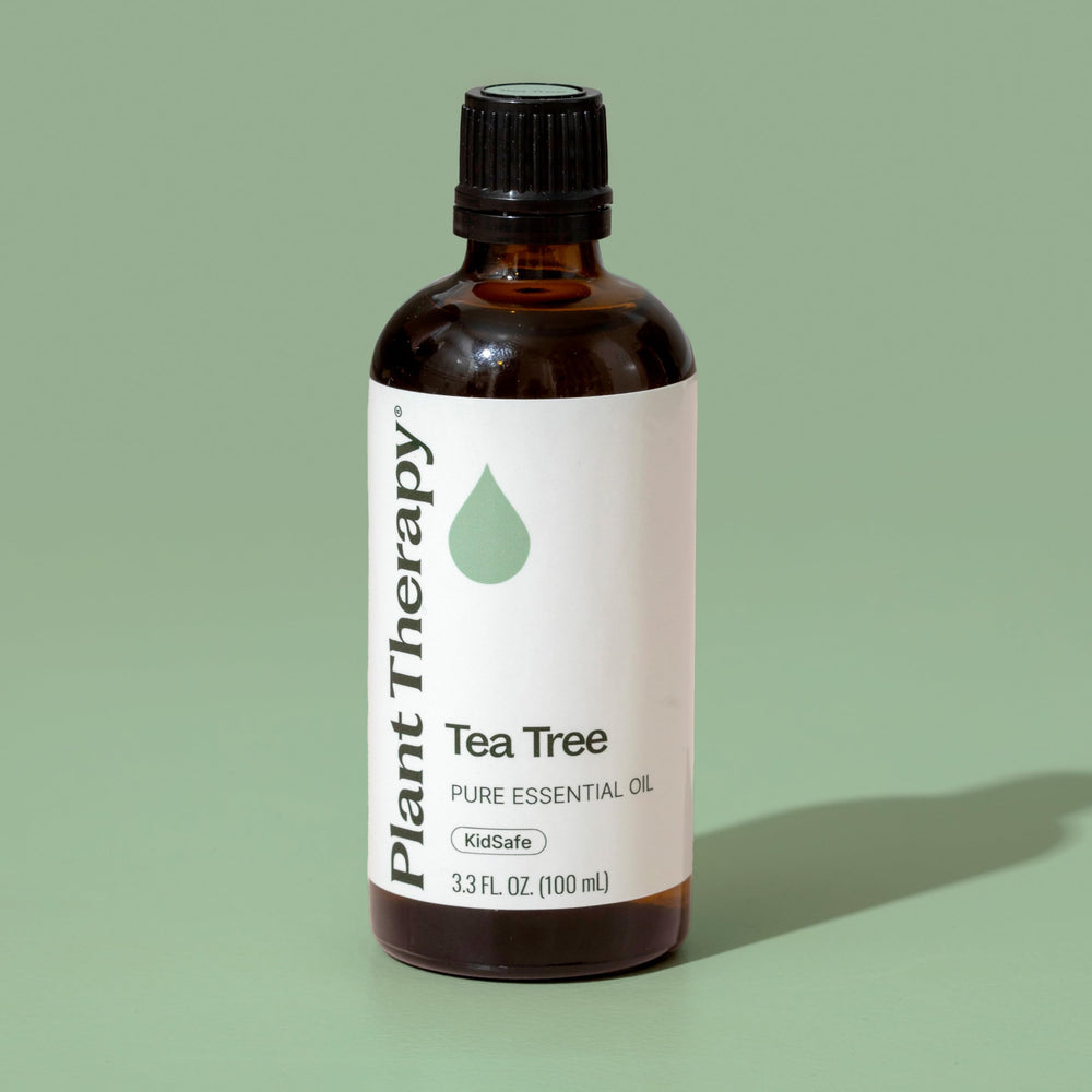 GC-MS batch report for Plant Therapy Tea Tree Oil