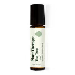 Plant Therapy Tea Tree essential oil bottle with roll-on applicator - 10 mL
