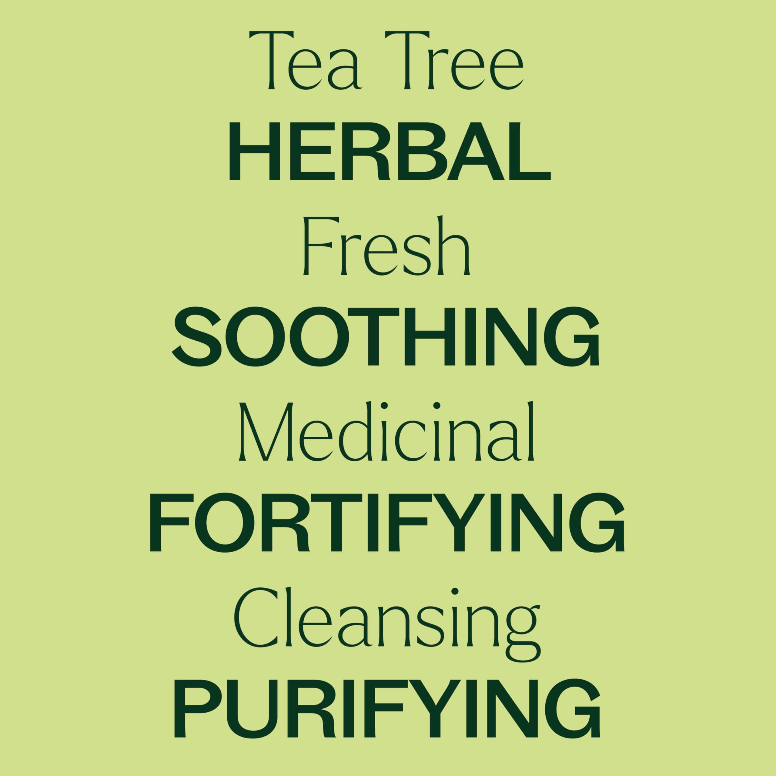 Back view of Plant Therapy Tea Tree Oil 10 mL bottle