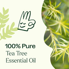 Label and roll-on cap close-up on Tea Tree Oil