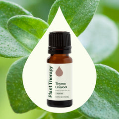 Amber glass bottle with dropper for Thyme Linalool essential oil