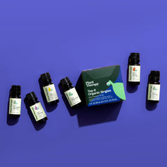 Plant Therapy Top 6 Organic Oils set in use with diffuser