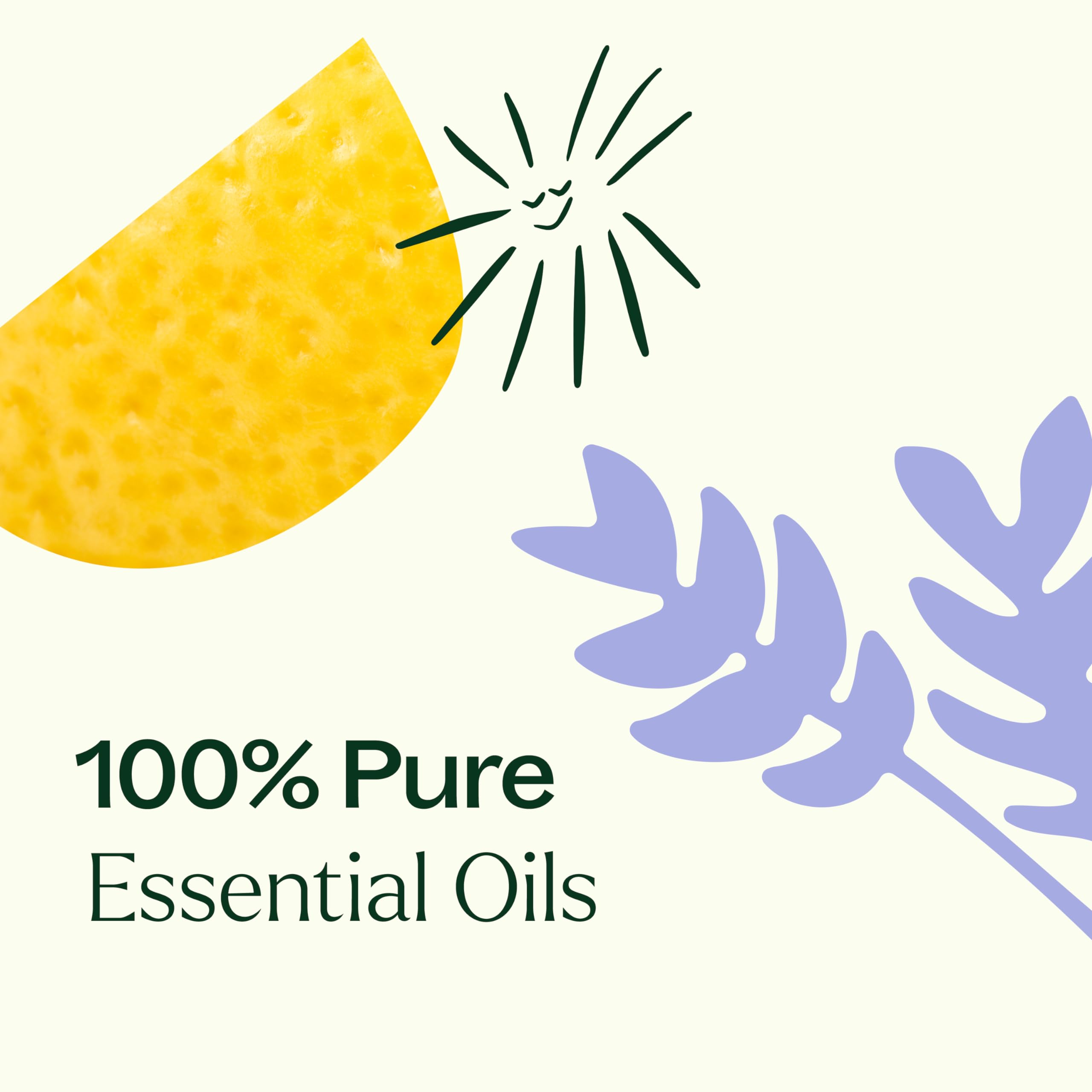 Sweet Orange essential oil bottle (10 mL) from Plant Therapy Top 6 USDA Organic Set