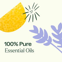Sweet Orange essential oil bottle (10 mL) from Plant Therapy Top 6 USDA Organic Set
