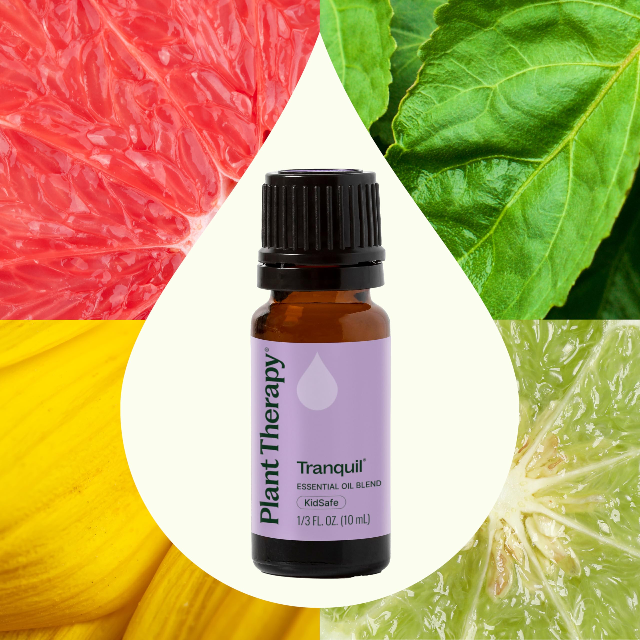Close-up of bottle cap of Plant Therapy Tranquil 10 mL