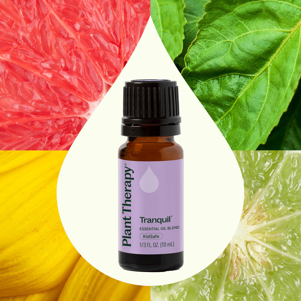 Close-up of bottle cap of Plant Therapy Tranquil 10 mL