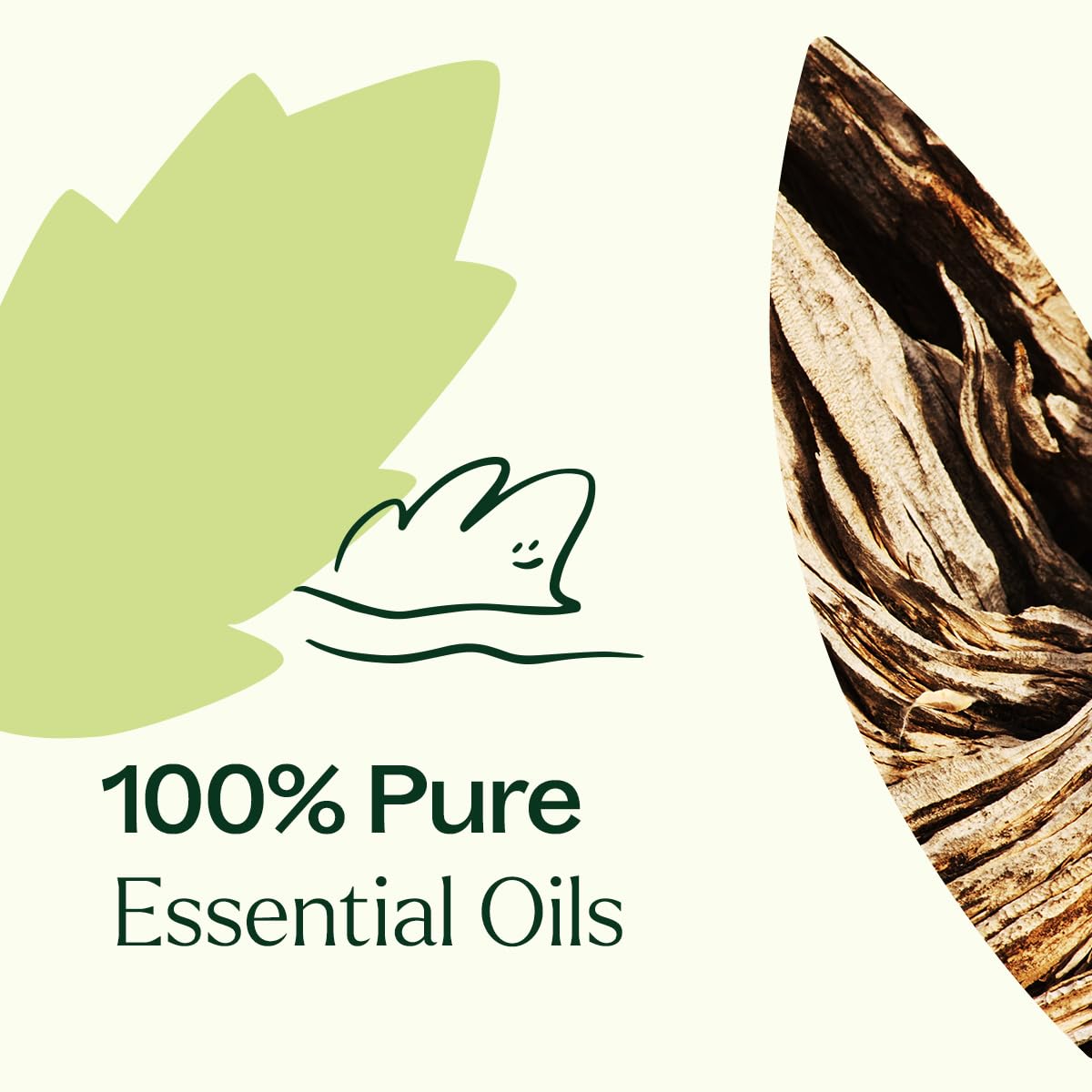 Wood Spice packaging from Plant Therapy