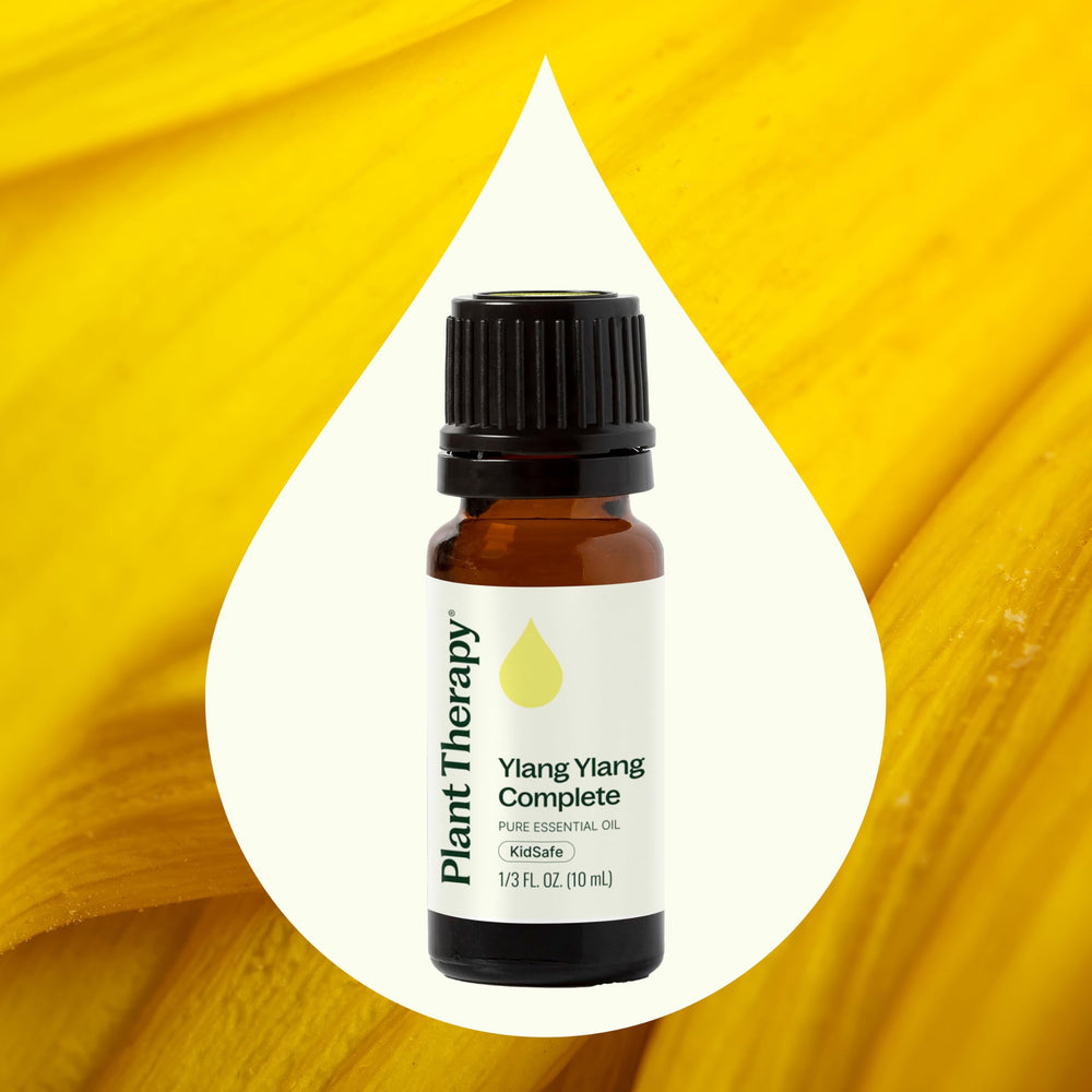 Ylang Ylang blossoms used for essential oil distillation