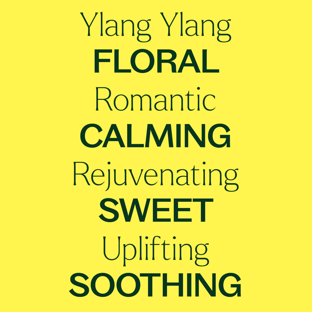 Aromatherapy setup featuring Ylang Ylang Complete Essential Oil